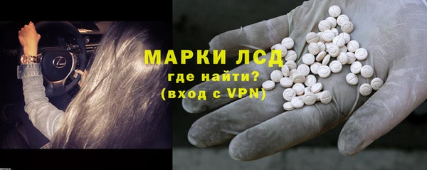 индика Елизово