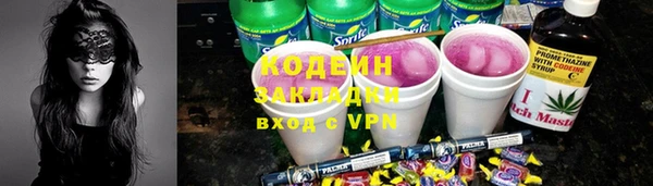 индика Елизово