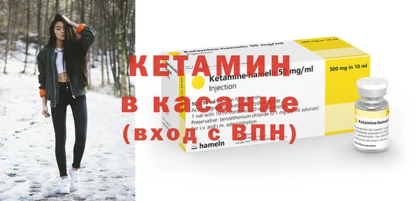 индика Елизово