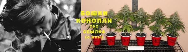 индика Елизово