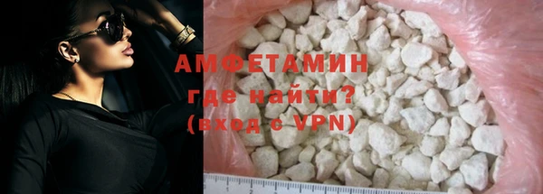 индика Елизово