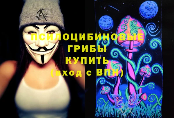 индика Елизово