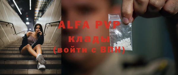 индика Елизово