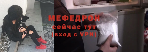 индика Елизово