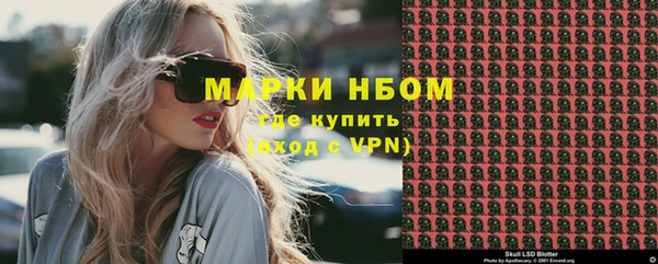 индика Елизово