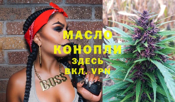 индика Елизово