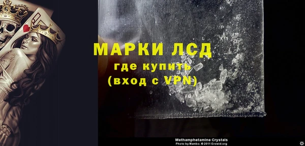 индика Елизово