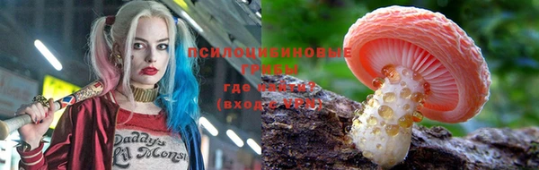 индика Елизово
