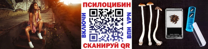 Купить  Дальнегорск  Псилоцибиновые грибы Magic Shrooms 